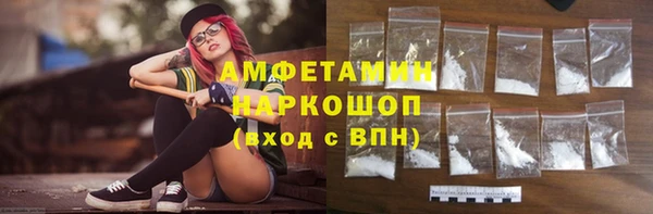 дмт Краснослободск