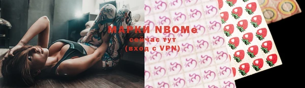 дмт Краснослободск