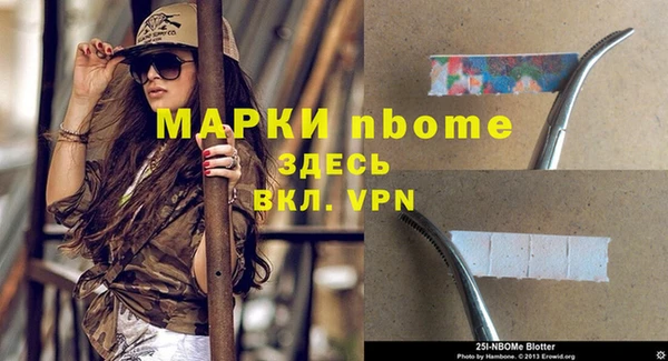 дмт Краснослободск
