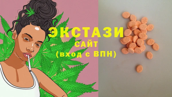 дмт Краснослободск