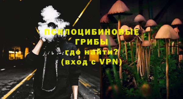 дмт Краснослободск