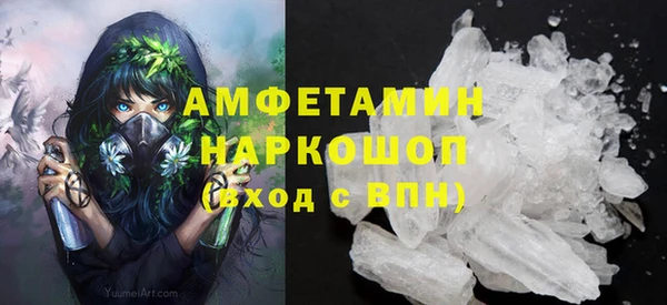 дмт Краснослободск