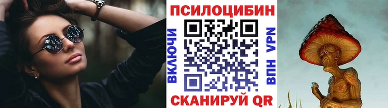 Купить закладки  Сураж  Псилоцибиновые грибы MAGIC MUSHROOMS 